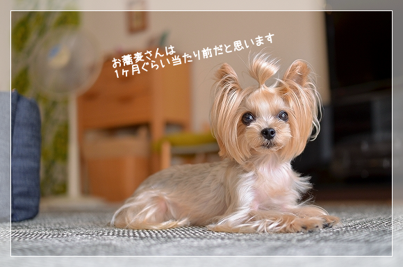d0179828_15453908.png