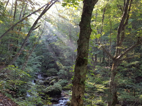 e0016828_10072195.jpg