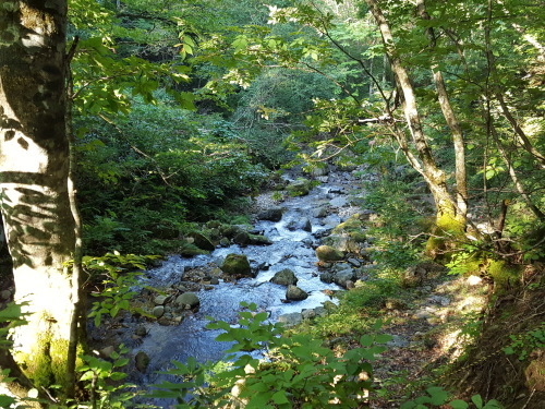 e0016828_10152721.jpg