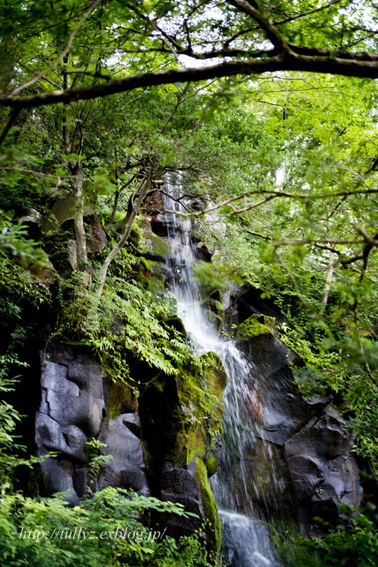 d0108132_00000221.jpg
