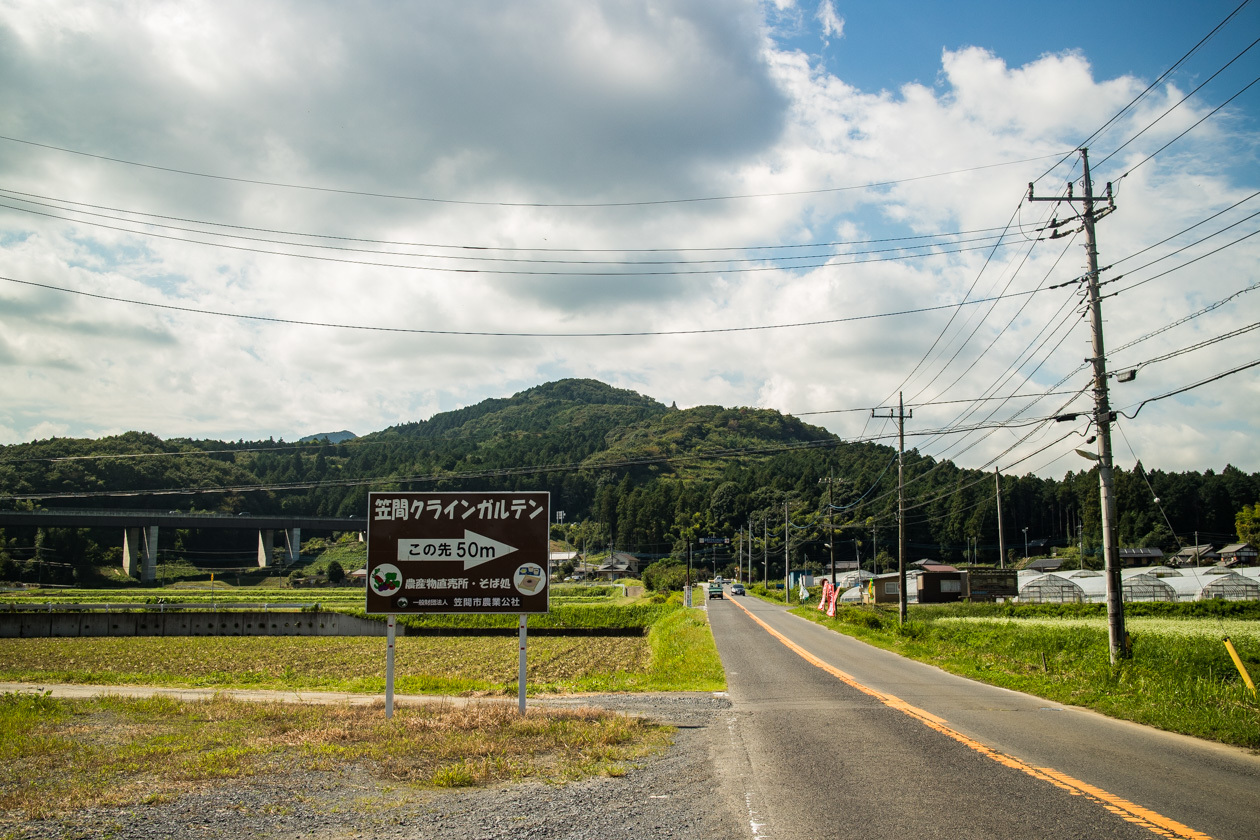 青木葉峠、マメザラバイキング、そして逆・縦走路_b0295234_13274782.jpg