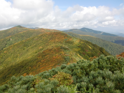 f0020336_20235070.jpg