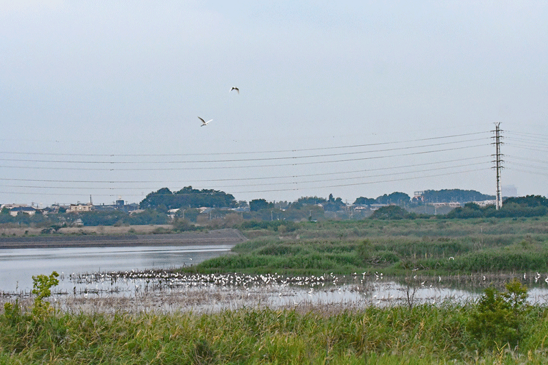 d0290240_13064601.gif