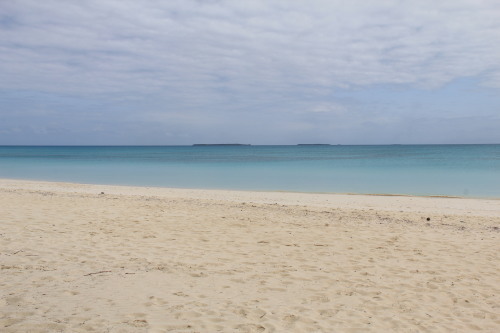 c0011649_00152391.jpg