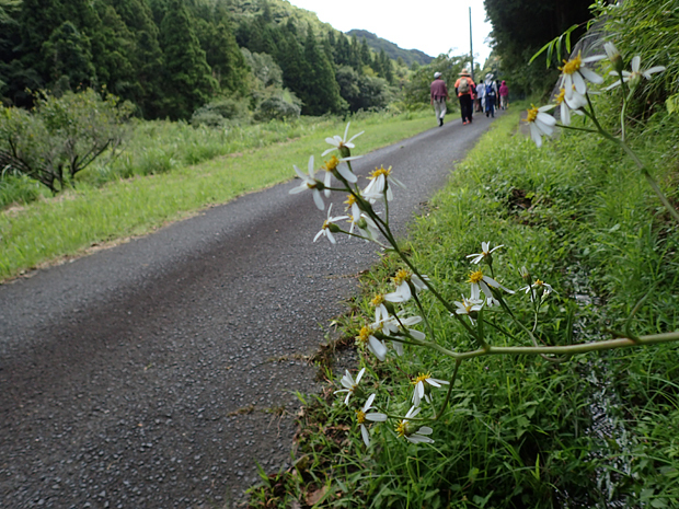 f0214649_04280847.jpg