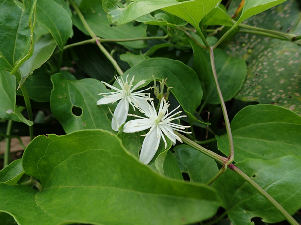 f0214649_04280885.jpg