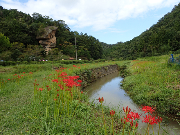 f0214649_04301088.jpg