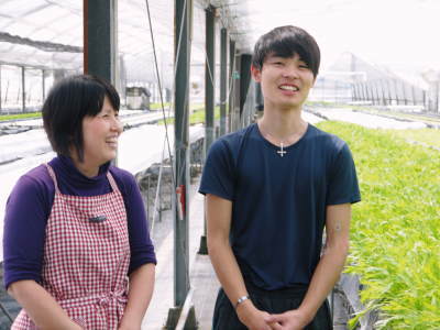 水耕栽培の新鮮野菜 無農薬で育てた朝採り『ベビーリーフチコリ』『ルッコラ』再出荷決定!『サラダリーフ』も大好評発売中!_a0254656_19284577.jpg