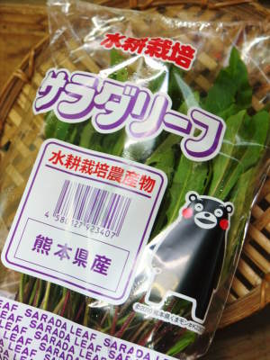 水耕栽培の新鮮野菜 無農薬で育てた朝採り『ベビーリーフチコリ』『ルッコラ』再出荷決定!『サラダリーフ』も大好評発売中!_a0254656_19320172.jpg