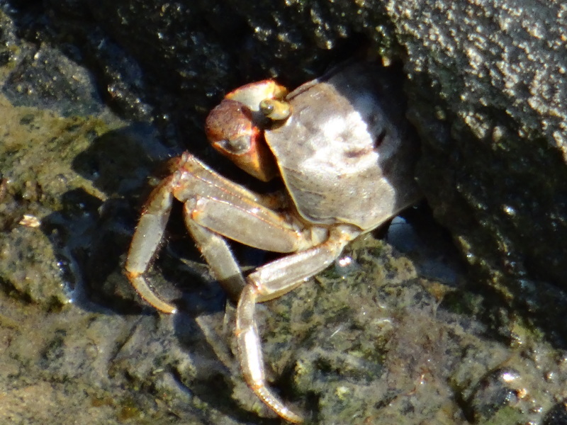 c0108460_17092000.jpg