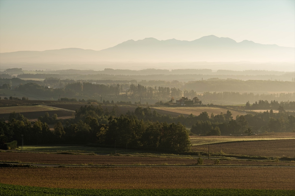 b0281366_15165475.jpg