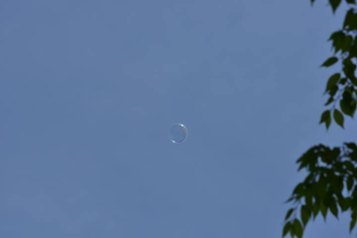 b0346568_14511144.jpg
