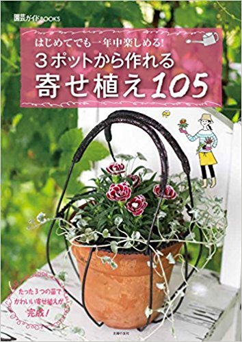 3ポットから作れる寄せ植え105」 : この植物をお買い2