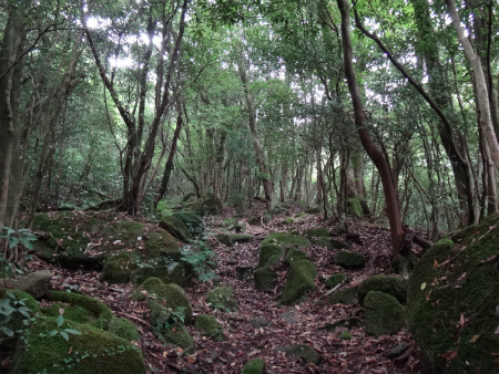 九千部山～石谷山縦走（福岡県那珂川町）_d0182075_04022493.jpg