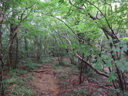 九千部山～石谷山縦走（福岡県那珂川町）_d0182075_04023647.jpg