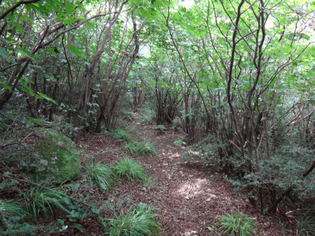 九千部山～石谷山縦走（福岡県那珂川町）_d0182075_04035083.jpg