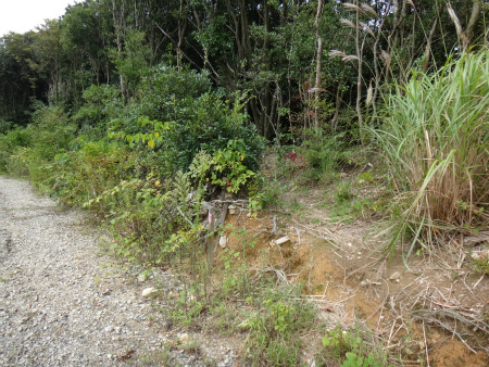 九千部山～石谷山縦走（福岡県那珂川町）_d0182075_04035942.jpg