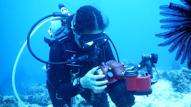 b0370378_18543448.jpg