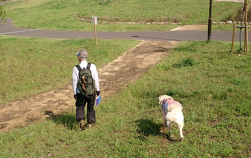 芝生の公園_b0136381_15211742.jpg