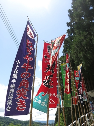 f0299682_11055501.jpg