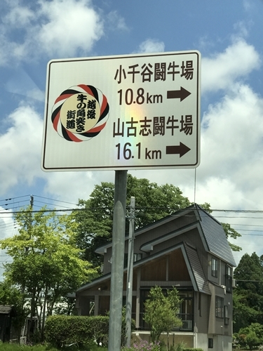 f0299682_11060238.jpg