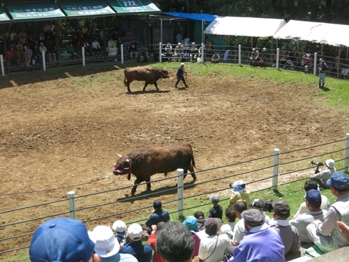 f0299682_11062971.jpg