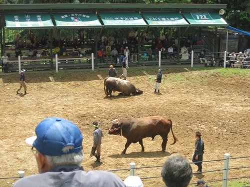 f0299682_11063774.jpg