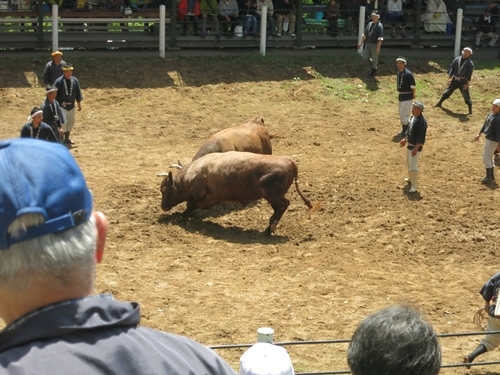 f0299682_11070729.jpg