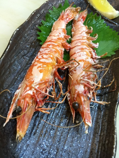 アシアカエビ_d0268290_06495853.jpg