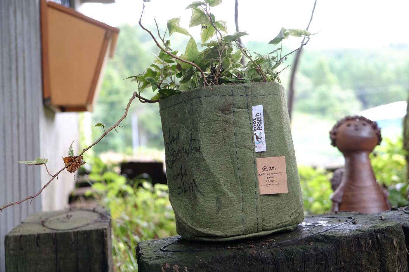 Root Pouch ルーツポーチ Cafe コトノハ ギャラリーてにをは Root Pouch ルーツポーチ Cafe コトノハ ギャラリーてにをは