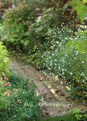 a0123003_08485276.jpg