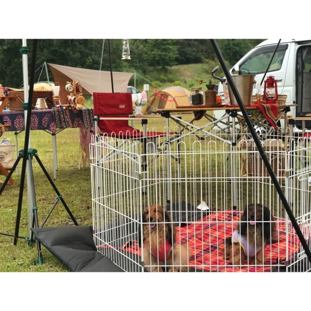 キャンピングカーで車中泊キャンプ♪︎～西山高原キャンプ場～_c0323003_11185114.jpg