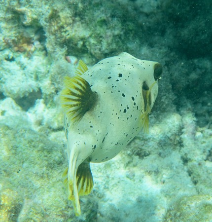 e0338303_1035268.jpg