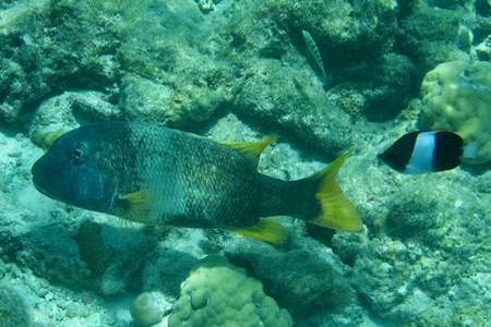 e0338303_10354414.jpg