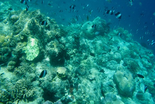 e0338303_10364493.jpg