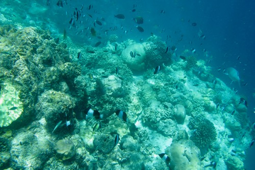 e0338303_10365650.jpg