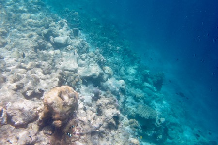 e0338303_10372672.jpg