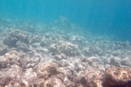 e0338303_10375586.jpg