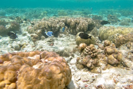 e0338303_9294044.jpg