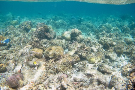 e0338303_9294927.jpg