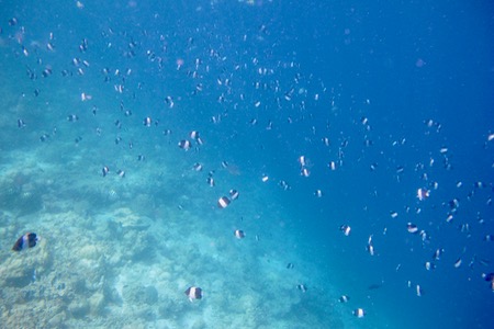 e0338303_9301035.jpg
