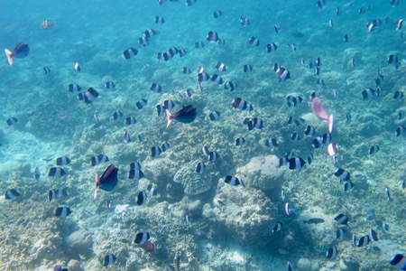 e0338303_9311074.jpg