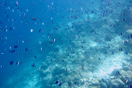 e0338303_9373669.jpg