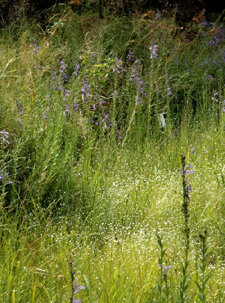 d0140806_15191782.jpg