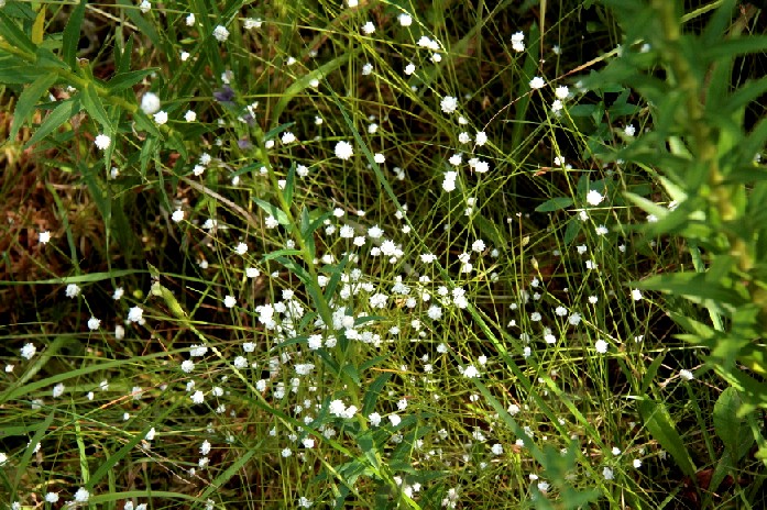 d0140806_15293379.jpg