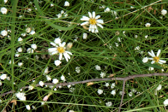 d0140806_15583585.jpg
