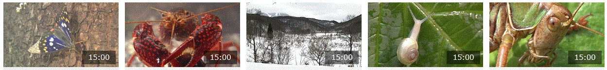 f0231709_20062212.gif