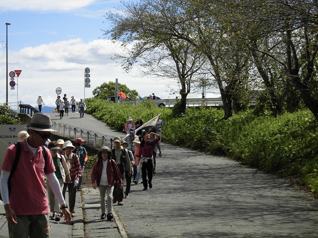 少し蒸したが、お彼岸の中日に沼川・滝川・田宿川を楽しむ「彼岸花ウォーク」を開催!_f0141310_08071493.jpg