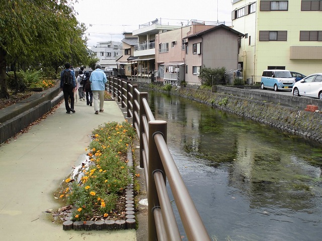 少し蒸したが、お彼岸の中日に沼川・滝川・田宿川を楽しむ「彼岸花ウォーク」を開催!_f0141310_08094718.jpg