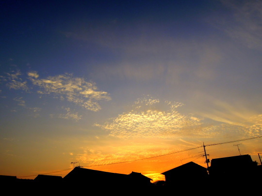 a0158613_18265423.jpg